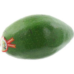 AVOCAT TROPICAL 11PCS